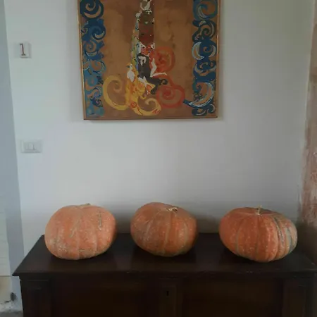 Apartment Casina Bellanova
